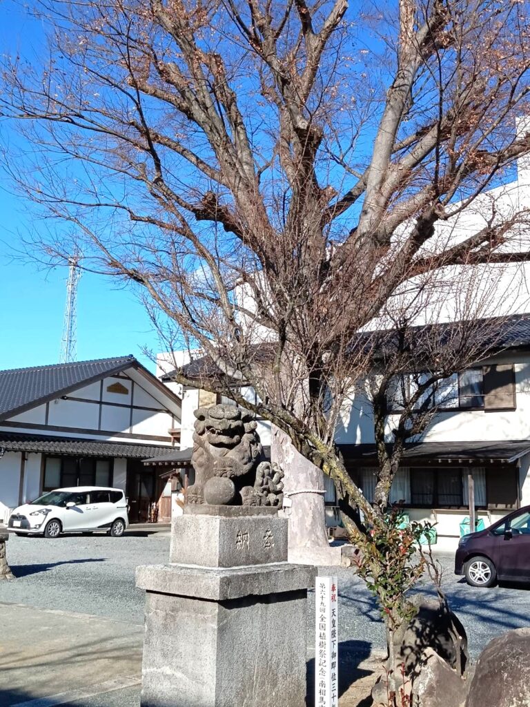 神社にある木